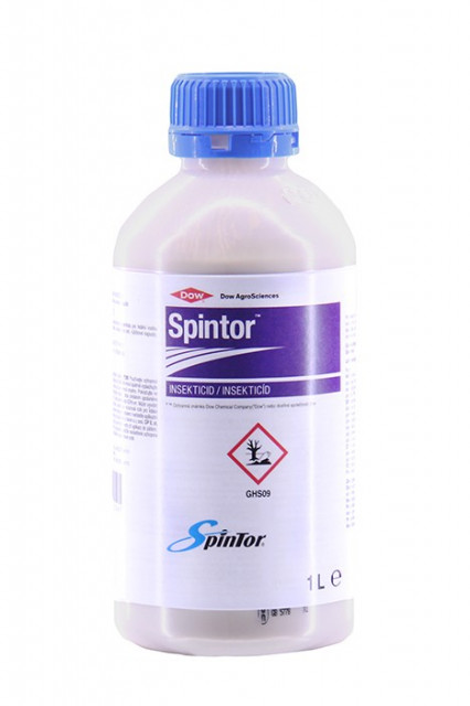 SPINTOR - 1L