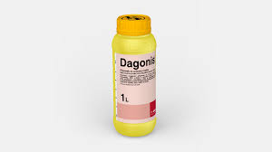 DAGONIS - 1L