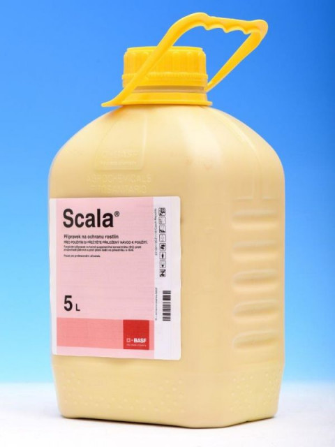 SCALA - 5L 
