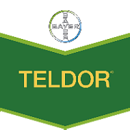 TELDOR 500 SC - 1L